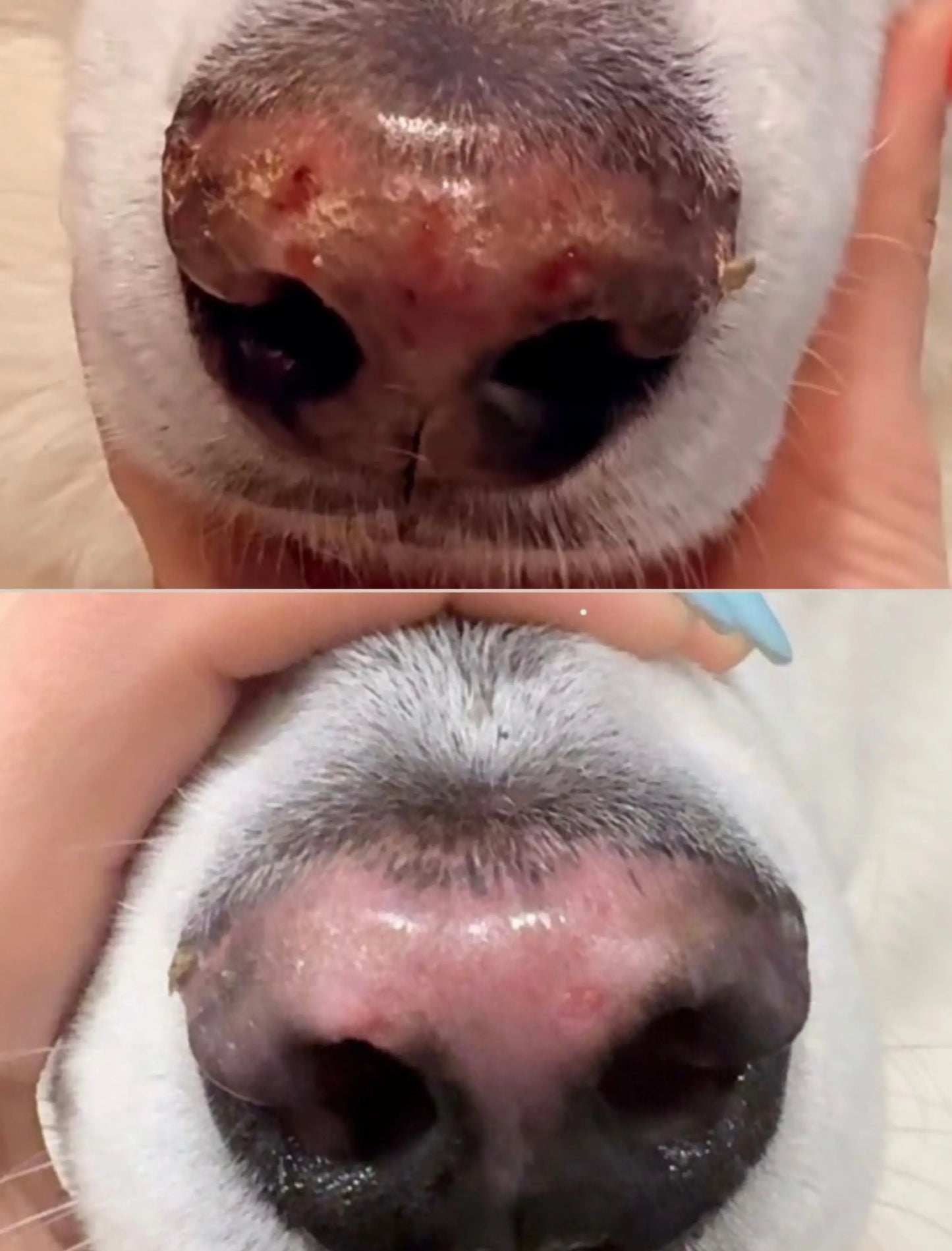 Pure Good Nose & Toes Potion - 2 Sisters Pure Goods