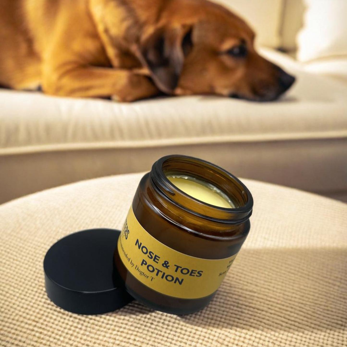 Pure Good Nose & Toes Potion